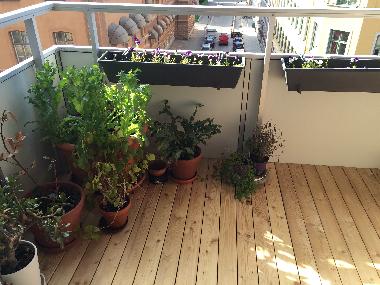 Ferienwohnung in Stockholm (Stockholm) oder Ferienwohnung oder Ferienhaus