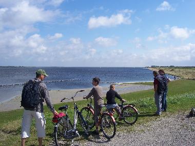 Scharendijke-Surf-speel-snorkelstrandje op 80m van de vakantiewoningen