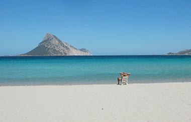 Ferienwohnung in Olbia (Sassari) oder Ferienwohnung oder Ferienhaus