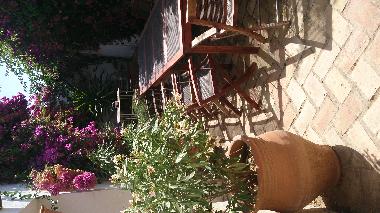 Villa in Lora del Rio (Sevilla) oder Ferienwohnung oder Ferienhaus