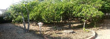 Ferienwohnung in Fuscaldo  (Cosenza) oder Ferienwohnung oder Ferienhaus