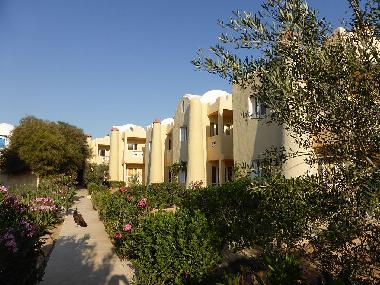 Pension in Zarzis (Madanin) oder Ferienwohnung oder Ferienhaus