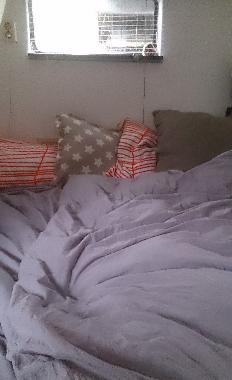 Boot in Groningen (Groningen) oder Ferienwohnung oder Ferienhaus