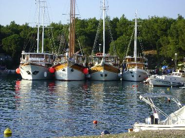 Ferienwohnung in Mandre (Zadarska) oder Ferienwohnung oder Ferienhaus