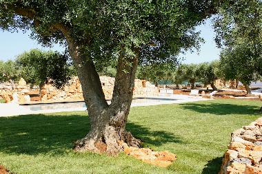 Villa in Santa MAria Di Leuca (Lecce) oder Ferienwohnung oder Ferienhaus