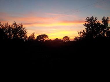 Blick von der Dachterasse am Abend