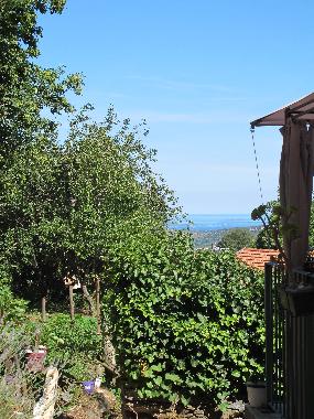 Ferienwohnung in Oletta (Haute-Corse) oder Ferienwohnung oder Ferienhaus