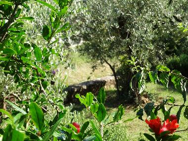 Ferienwohnung in Porec (Istarska) oder Ferienwohnung oder Ferienhaus