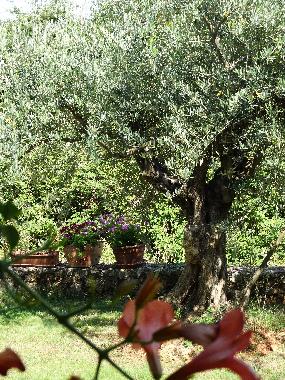 Ferienwohnung in Porec (Istarska) oder Ferienwohnung oder Ferienhaus