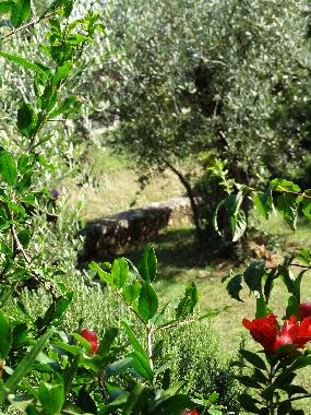 Ferienwohnung in Porec (Istarska) oder Ferienwohnung oder Ferienhaus