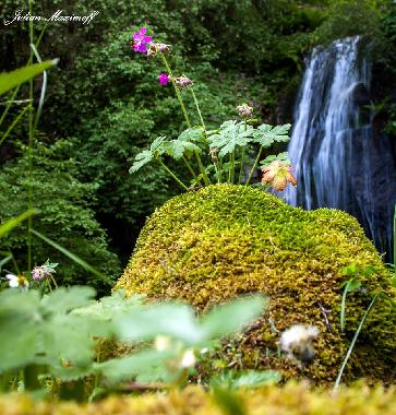 Ferienhaus in Barutin (Smolyan) oder Ferienwohnung oder Ferienhaus