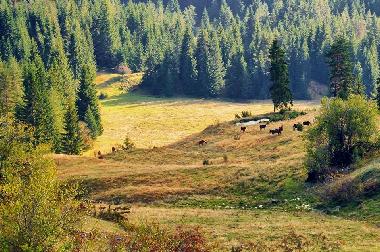 Ferienhaus in Barutin (Smolyan) oder Ferienwohnung oder Ferienhaus