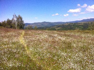Ferienhaus in Barutin (Smolyan) oder Ferienwohnung oder Ferienhaus