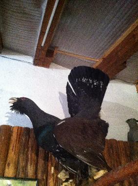 Ferienhaus in Barutin (Smolyan) oder Ferienwohnung oder Ferienhaus