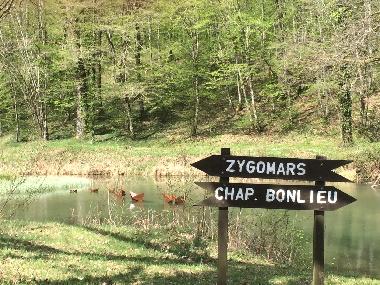 Chalet in Virton (Wallonien) oder Ferienwohnung oder Ferienhaus