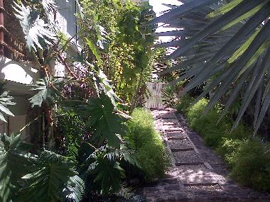 Ferienhaus in LE MORNE (Black River) oder Ferienwohnung oder Ferienhaus