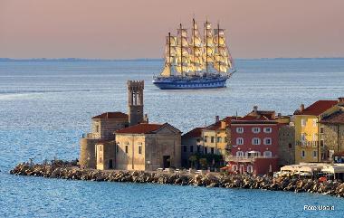 Ferienwohnung in Piran (Piran) oder Ferienwohnung oder Ferienhaus