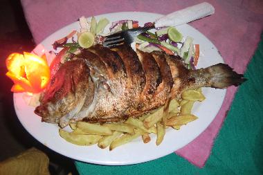 t�glich frischen Fisch, Hummer, Krabben