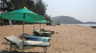 Liegen und Sonnenschirme f�r unsere G�ste