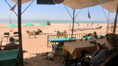 Hotel in Agonda Goa  (Goa) oder Ferienwohnung oder Ferienhaus