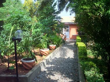  Royal Palm Apartment : Zugang