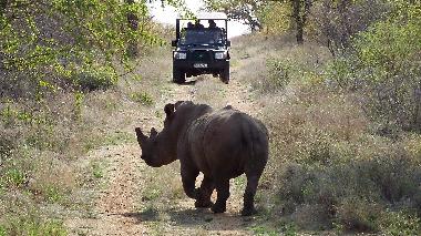 Ferienhaus in Hoedspruit (Mpumalanga) oder Ferienwohnung oder Ferienhaus