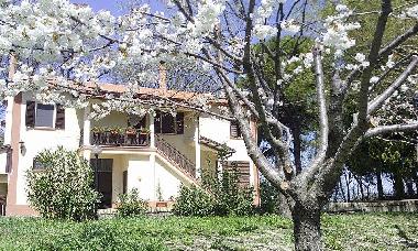 Pension in Senigallia (Ancona) oder Ferienwohnung oder Ferienhaus