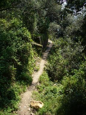 Ferienhaus in Montemarcello di Ameglia (La Spezia) oder Ferienwohnung oder Ferienhaus