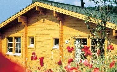 Auenansicht Sommer