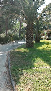 Ferienwohnung in Calvi (Haute-Corse) oder Ferienwohnung oder Ferienhaus