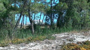 Ferienwohnung in Calvi (Haute-Corse) oder Ferienwohnung oder Ferienhaus