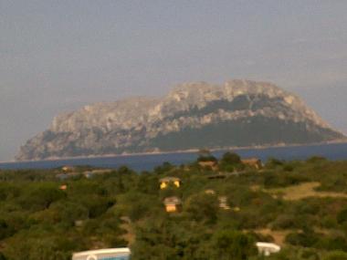 Ferienhaus in Olbia (Olbia-Tempio) oder Ferienwohnung oder Ferienhaus