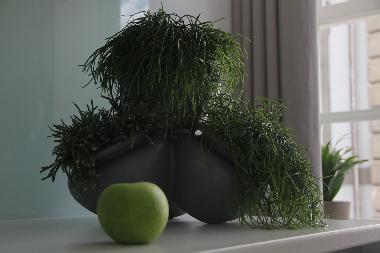 Ferienwohnung in Guimares (Norte) oder Ferienwohnung oder Ferienhaus