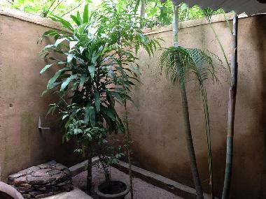 Ferienhaus in Tangalle (Matara) oder Ferienwohnung oder Ferienhaus