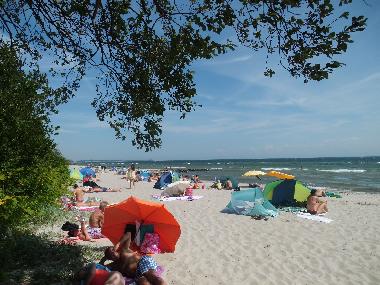 Strandbereich am S�dstrand