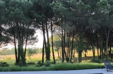 Villa in Gassin (Alpes-Maritimes) oder Ferienwohnung oder Ferienhaus