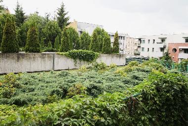 Ferienwohnung in Krakow (Malopolskie) oder Ferienwohnung oder Ferienhaus