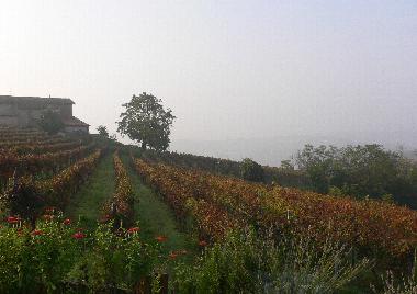 Ferienwohnung in Nizza Monferrato (Asti) oder Ferienwohnung oder Ferienhaus