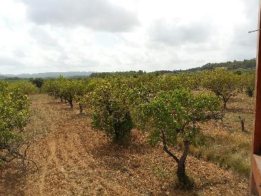 Villa in La Bisbal del Penedes (Tarragona) oder Ferienwohnung oder Ferienhaus
