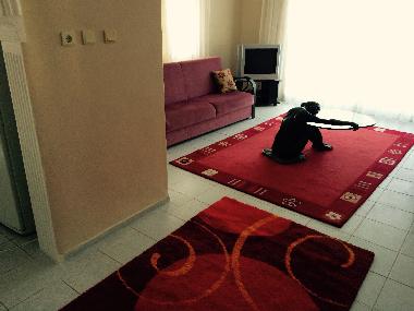 Ferienhaus in Guzelcamli (Aydin) oder Ferienwohnung oder Ferienhaus