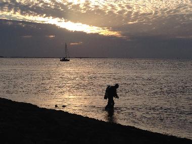 Tauchen Oosterschelde