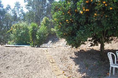 Ferienhaus in Vila Boa de Quires (Norte) oder Ferienwohnung oder Ferienhaus