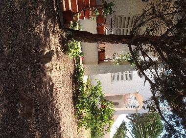 Ferienwohnung in Olbia (Olbia-Tempio) oder Ferienwohnung oder Ferienhaus