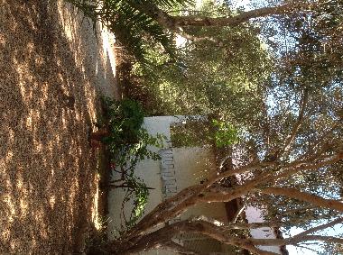 Ferienwohnung in Olbia (Olbia-Tempio) oder Ferienwohnung oder Ferienhaus