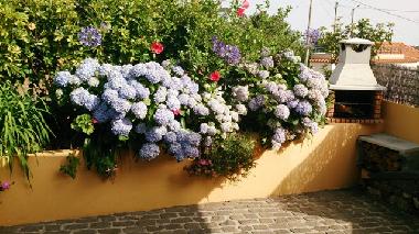 Ferienwohnung in Prazeres (Madeira) oder Ferienwohnung oder Ferienhaus