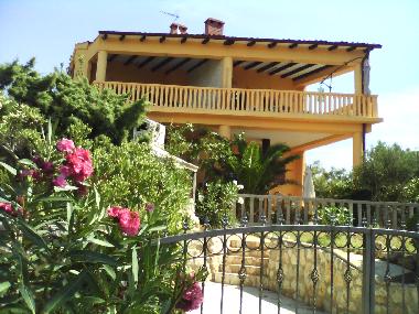 Ferienwohnung in Kolan (Zadarska) oder Ferienwohnung oder Ferienhaus