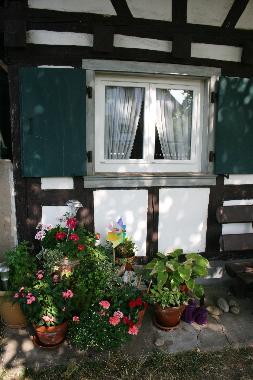 Ferienhaus in kehl (Schwarzwald) oder Ferienwohnung oder Ferienhaus