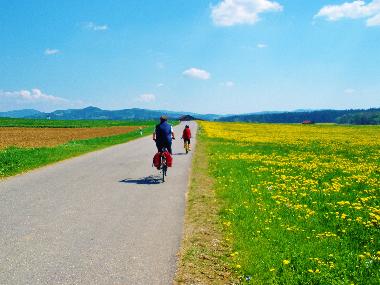 Schwarzachtal-Radweg zum Silbersee, TOP!