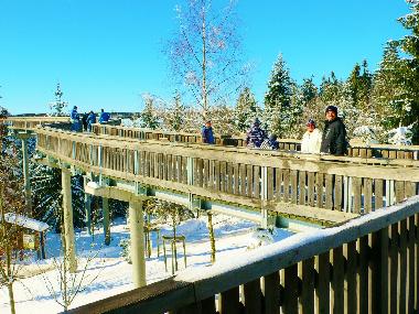 Waldwipfelweg Maibrunn, Sommerrodelbahn und mehr