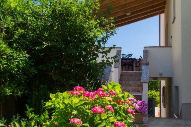 Ferienwohnung in Mali Losinj (Primorsko-Goranska) oder Ferienwohnung oder Ferienhaus